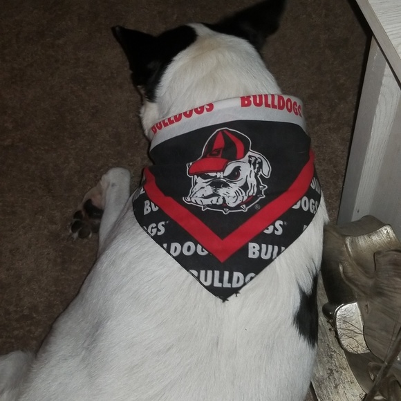 POSH AMBASSADOR - Picture 2 of 8